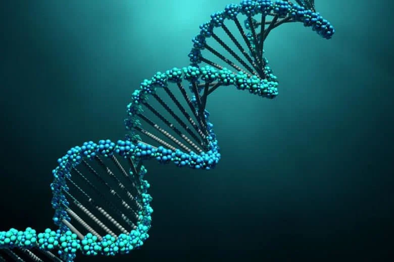 Como achar o DNA da sua marca